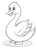 Cute swan coloring page