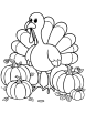 Cute turkey and pumpkins coloring page