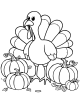 Thanksgiving Coloring Page