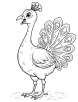 Decorative peacock coloring page