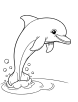 Dolphin in a tropical ocean coloring page