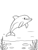 Dolphin swimming in a lagoon coloring page