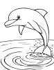 Dolphin with a smile coloring page