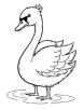 Elegant swan coloring page