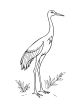 Crane Bird Coloring Page