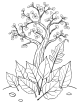 Fall leaves coloring page