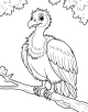 Vulture Coloring Page