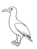 Friendly albatross bird coloring page