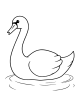 Fun swan coloring page