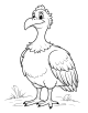 Vulture Coloring Page