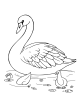 Swan Coloring Page