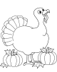 Thanksgiving Coloring Page