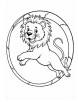 Lion jumping through hoop coloring page