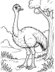 Ostrich and its habitat coloring page