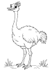 Ostrich ready to run coloring page