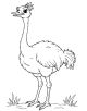 Ostrich Coloring Page