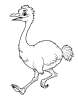 Ostrich running fast coloring page