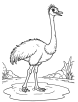 Ostrich standing in water coloring page