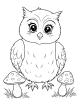 Owl Coloring Page