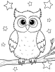 Owl and stars coloring page