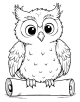 Owl Coloring Page