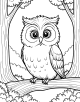 Owl Coloring Page