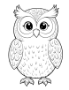 Owl patterns coloring page