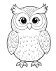 Owl Coloring Page