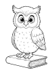 Owl perched on a book coloring page