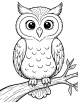 Owl perched on a branch coloring page