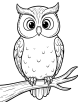 Owl perched on a branch coloring page 2