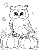 Owl Coloring Page