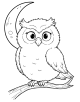 Owl Coloring Page