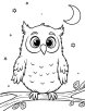 Owl with a night sky coloring page