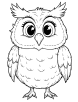 Owl with a wise expression coloring page