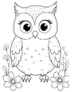 Owl Coloring Page