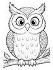 Owl with patterns coloring page