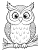 Owl Coloring Page