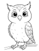 Owl coloring page