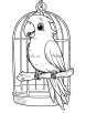 Parrot and cage coloring page