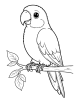 Parrot perched on a branch coloring page