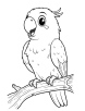 Parrot talking coloring page