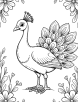 Peacock coloring page 2