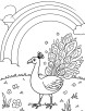 Peacock and a rainbow coloring page