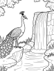 Peacock and a waterfall coloring page