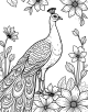 Peacock Coloring Page