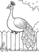 Peacock resting coloring page