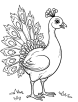 Peacock showing off its plumage coloring page