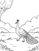 Peacock walking in the park coloring page