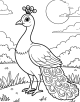 Peacock Coloring Page